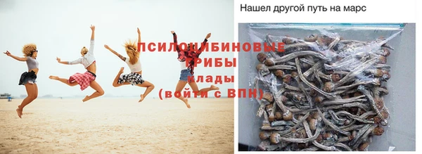 сатива Баксан