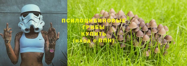 круглые Аркадак
