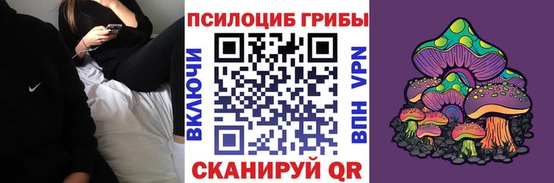 ссылка на мегу онион  Баксан  Псилоцибиновые грибы Psilocybe 